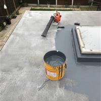flatroof3